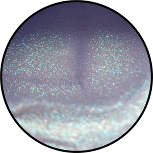 Polygel Star 05, 30 gr HEMA-TPO FREE